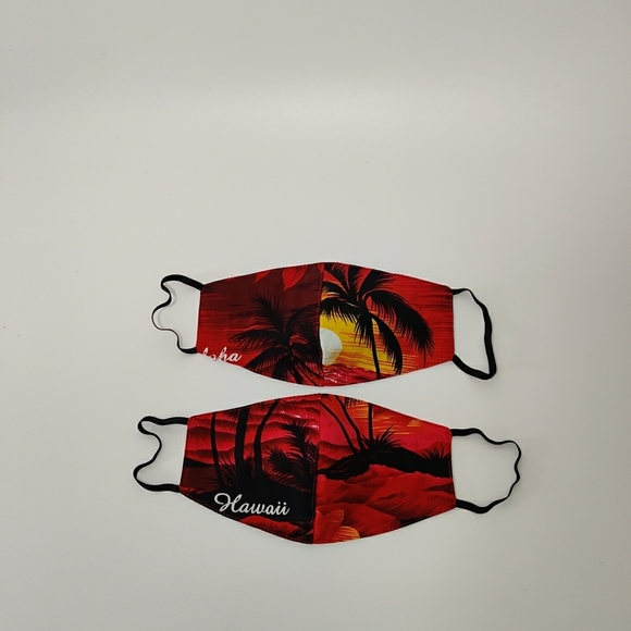 Other - 2 Pcs Handmade Hawaii Face Mask